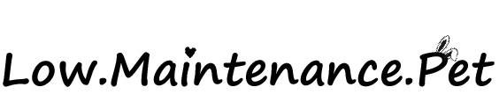 Low Maintenance Pet