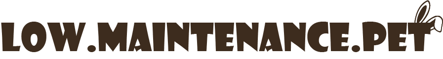 Low Maintenance Pet