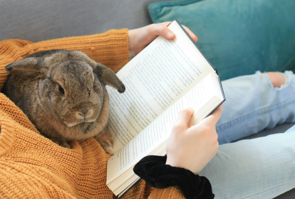 A person sits on a sofa reading a book, with a rabbit sitting beside them.