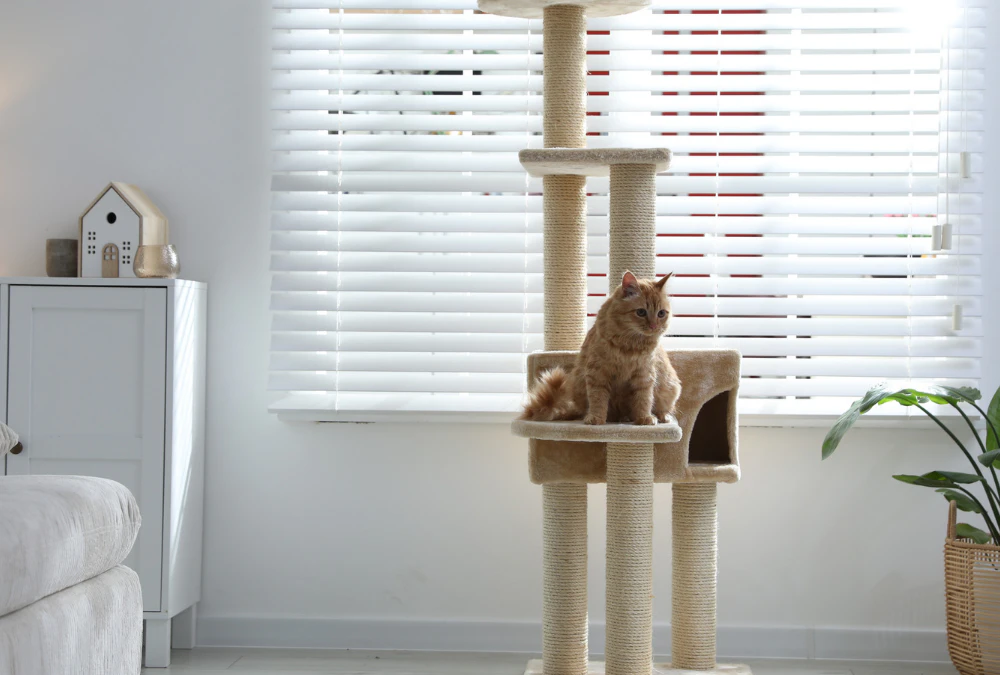 Cats on Cat Tree in Apartment