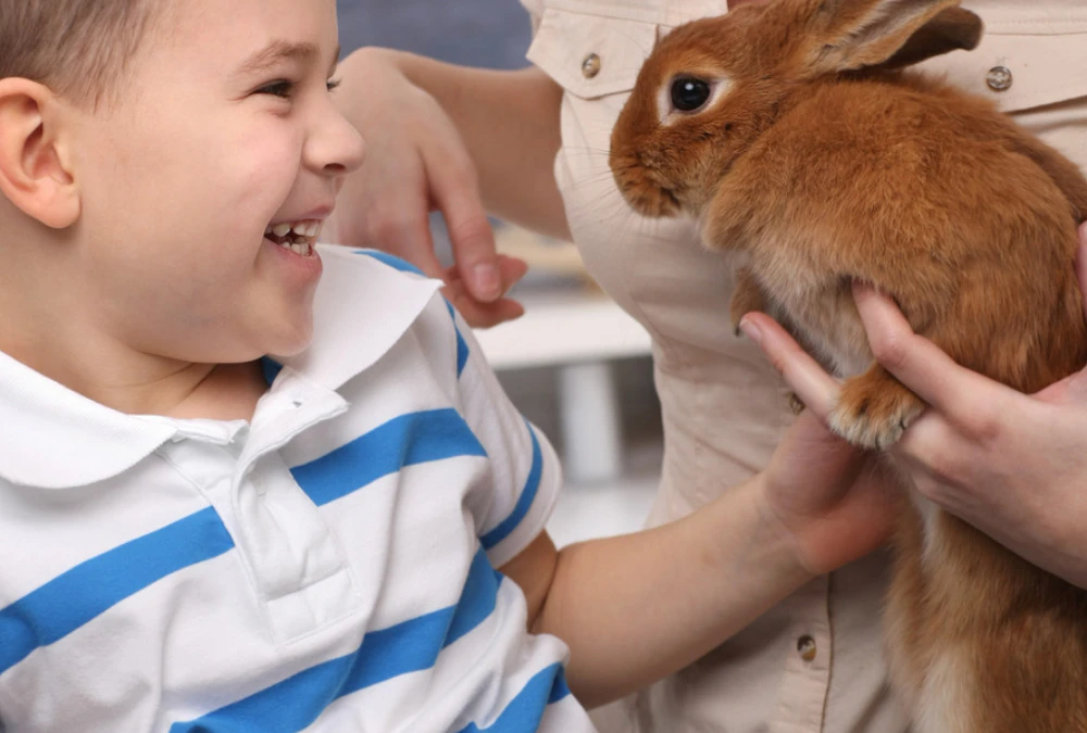 Kid and Mom with Pet Rabbit at Home