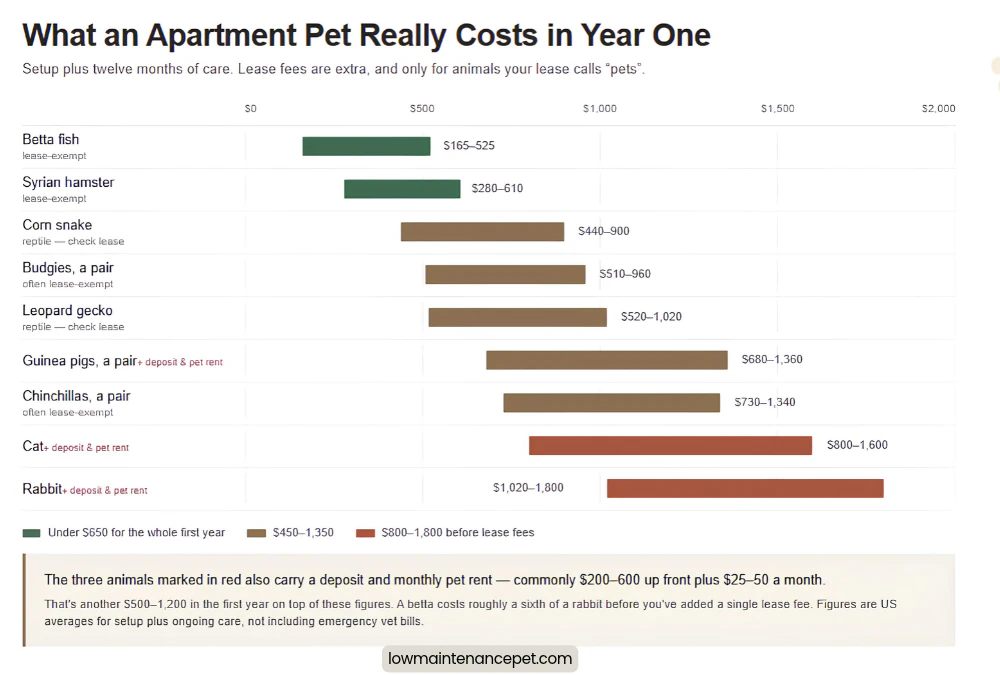 infographic about what an apartment pet really costs in year one
